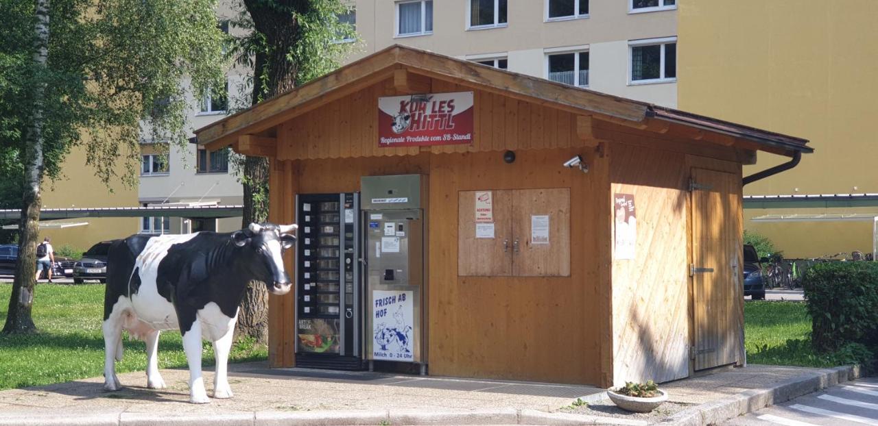 Ferienwohnung Singer Vols Kültér fotó