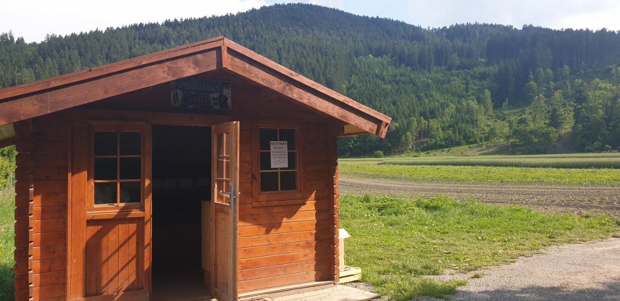 Ferienwohnung Singer Vols Kültér fotó